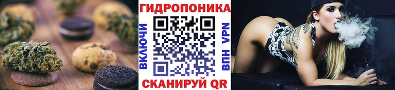 цена наркотик  Александров  Canna-Cookies конопля 