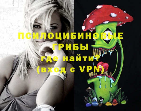 стафф Абаза