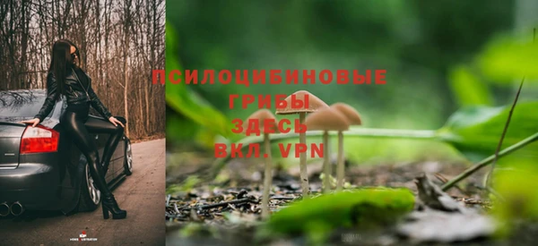стафф Абаза
