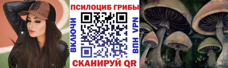 что такое наркотик  Александров  Псилоцибиновые грибы Psilocybine cubensis 