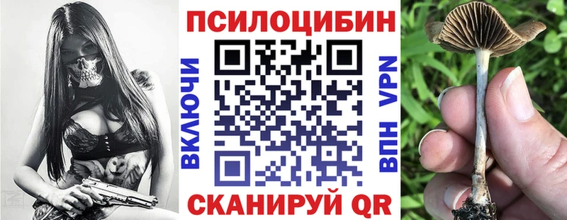 Псилоцибиновые грибы мухоморы Александров