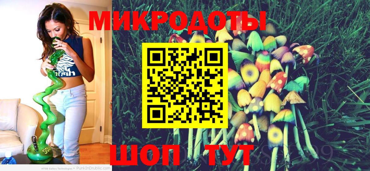 Александров  Псилоцибиновые грибы Psilocybine cubensis  Вход с VPN 